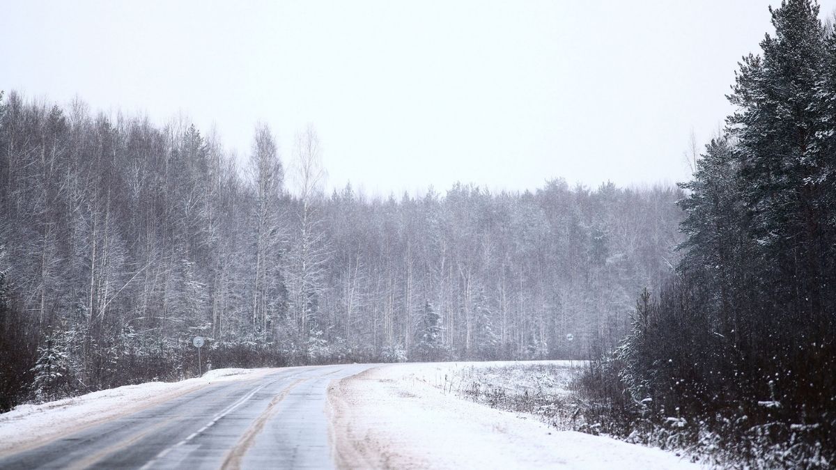 Freak U.S. Winters Linked To Arctic Warming